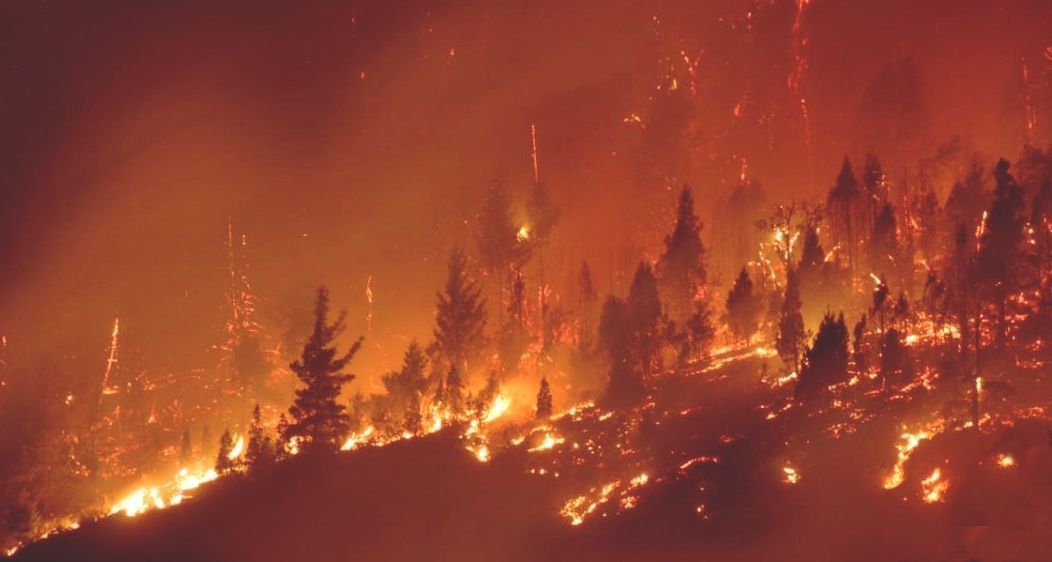 El incendio de Estepona y sus alrededores calcina ya unas 5.000 hectáreas