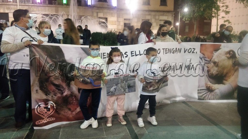 “Soy tu voz” pide más precisión cuando se encuentra a un animal atropellado o herido