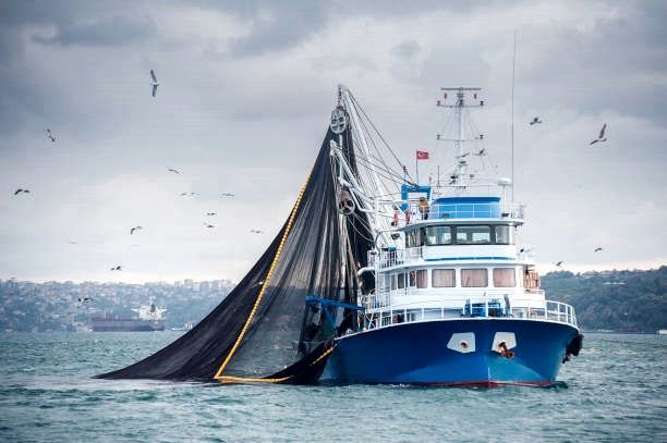 Amplían un mes la pesca del atún rojo para los buques artesanales en el Estrecho