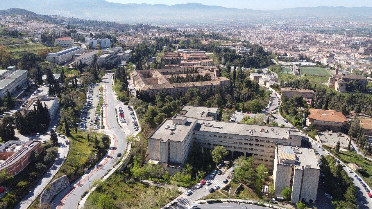 La UGR se consolida entre las 100 mejores universidades del mundo en varias disciplinas según la edición 2024 del Ranking de Shanghái