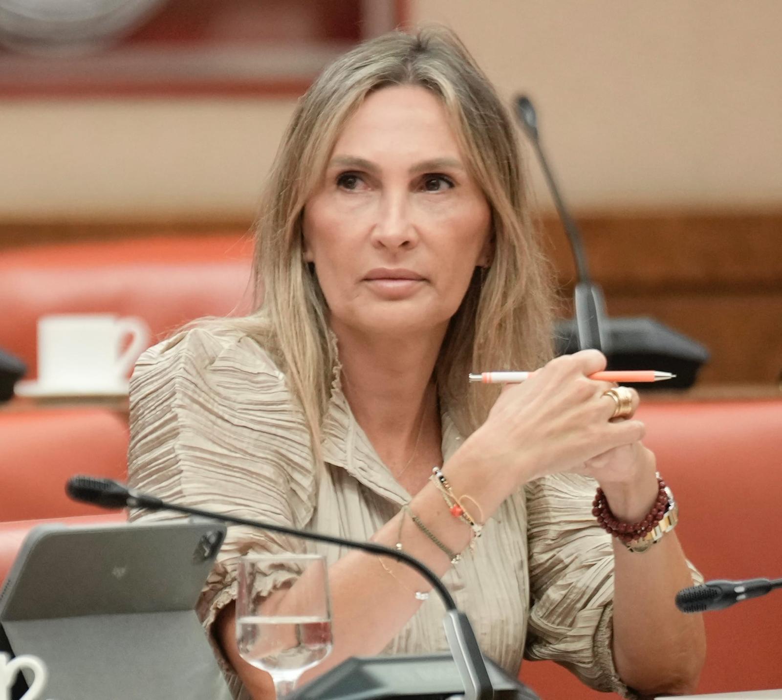 El PP exige en el Senado una respuesta de Estado ante la crisis de seguridad en Ceuta y Melilla