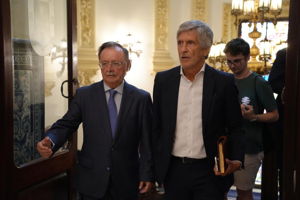 Marlaska dice que no hay ningún elemento lógico que señale a Marruecos por la entrada en Ceuta