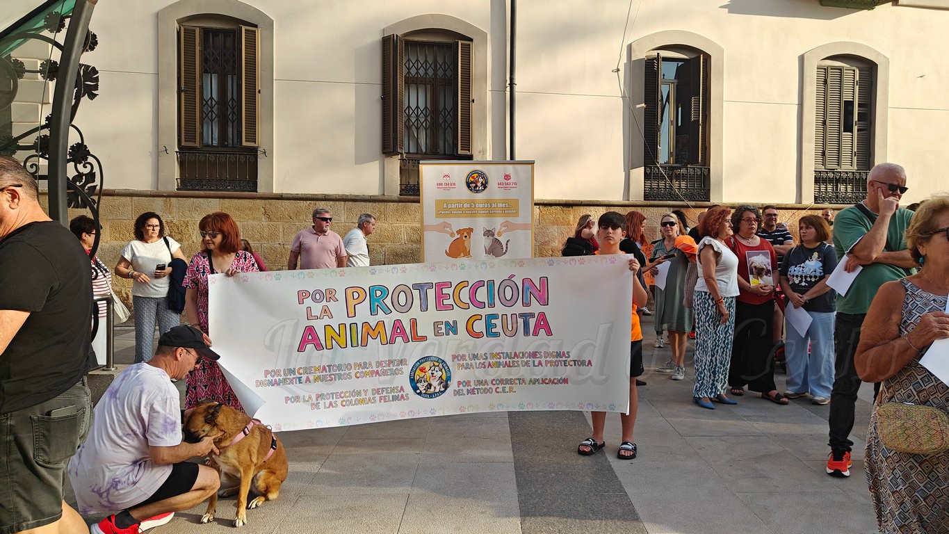 La Protectora pide investigar la desaparición y muerte de animales y reclama no sacar conclusiones precipitadas